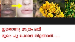 3 ദിവസം കൊണ്ട് വെളുക്കും വെല്ലുവിളിക്ക് തയ്യാറാണോ |Skin Whitening at home