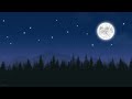 moonlight lofi ✨ calm night with chill beats for relaxing study