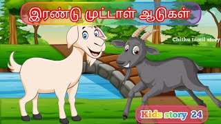 இரண்டு முட்டாள் ஆடுகள்  #story #kathaikal #animals #story24 @chithutamilstory