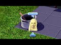 mody do the sims 3 których używam w grze.