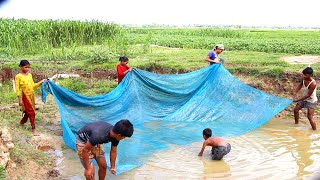 Net fishing || Asian traditional net fishing in village with beautiful natural - Smart fishing video