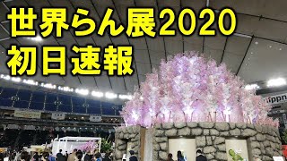 世界らん展2020