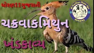 ધોરણ 11 ગુજરાતી ચક્રવાકમિથુન કાવ્ય સમજૂતી chakravakMithun