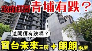 政府打房後青埔有跌嗎？三房預售「寶台未來」跟「青朗」兩房開這價...桃園買房 桃園房地產 青埔 中路 小檜溪 八擴 楊梅 龜山參考