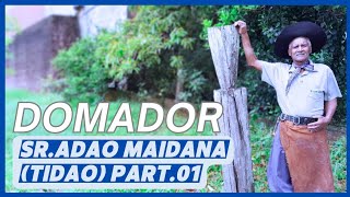 🎬 ATÉ HOJE SONHO QUE ESTOU TROPEANDO E DOMANDO//ROSÁRIO DO SUL-RS #cavalo #domador #causos