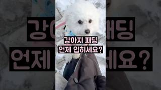 견종별 패딩 입는 날씨 | 강아지 패딩 추천 | 바잇미 뉴 더블 히트패딩