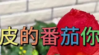 种植小技巧 种植 盆栽 新农人 乡村生活