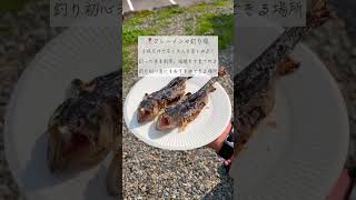 【岐阜・観光】この夏に行きたい！！岐阜県のオススメスポット4選！！