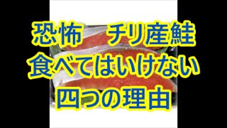 [恐怖]現地の人が語るチリ産鮭を食べてはいけない四つの理由が怖すぎる。