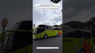 rilis JETBUS 5 milik MURIA AGUNG #freshbus