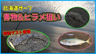 【北海道サーフ釣り】青物＆ヒラメ狙いで特別ゲスト現る！(動画最後に次回予告あり)