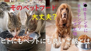 そのペットフード大丈夫？人のよりも危険な犬、猫のご飯