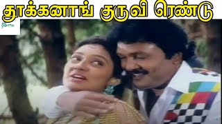 தூக்கனாங் குருவி ரெண்டு தூளியில் ஆடுதம்மா | Thokkanag Kuruvi Rendu | Tamil Love Duet HD Song #SPB