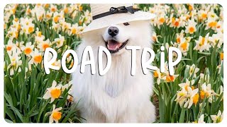 Songs to play on a late night summer road trip! Road trip playlist