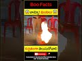 😱వామ్మో మంటలు😱 cylinder fire survival tips in telugu shorts skill youtubeshortsvideo