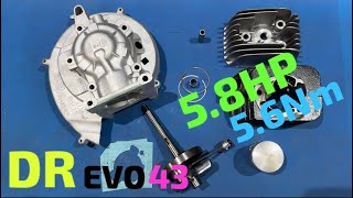 DR Evo 43 da 5.8 Hp per Piaggio Ciao