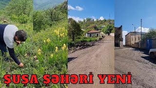 Şuşa şəhəri, məhəllə məhəllə küçələri və evlərin yeni video görüntüləri. Dədə Qorqud küçəsi, Aptek