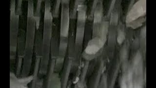 Secure Document Destruction