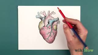 How to Draw a Human Heart