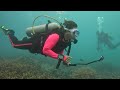 這個年紀可以去馬來西亞刁曼島潛水與海龜暢泳 diving at tioman island malaysia and swim with sea turtle in my sixties_pt 1