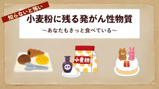 外国産の小麦粉は特に危険です！