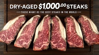 I Dry-Aged a $1,000.00 WAGYU STEAK MSB7 at home!