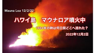 【ハワイ島　マウナロア噴火中】1984年の噴火の時　何日続いたのか　ビッグアイランド　新しいビューイングエリア　2022年12月2日の情報　サドルロードから溶岩を見る