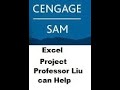 SAM 42 EXCEL, Cello Worldwide,  Create and format a financial analysis , CIT 101