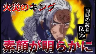 キングの素顔を初見で見た当時の読者の反応集！ゾロvsキングに決着！【ワンピース1035話】