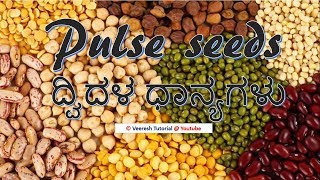 3. Pulse crops (ದ್ವಿದಳ ಧಾನ್ಯಗಳು)-Agriculture Practical Test