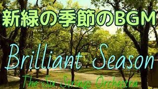 【新緑の季節のBGM】Brilliant Season（オリジナル）作業用BGM Fresh Green