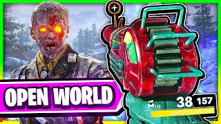OPEN WORLD Zombies, *New* Gameplay?!