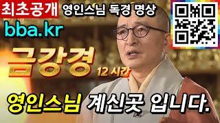 영인스님 금강경12시간   [ BBA (비비에이) ]