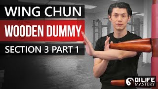 Wing Chun Wooden Dummy Techniques Mook Jong Training - Section 3 Part 1