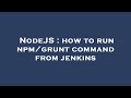 NodeJS : how to run npm/grunt command from jenkins
