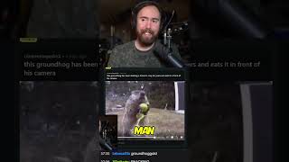 Bro eats like he OWNS THE PLACE #asmongold  #twitch #react #gaming #news #drama