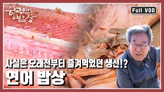 [한국인의밥상★풀버전] 연어의 귀향길을 따라 싱싱한 연어를 맛보고 단풍보다 더 붉고, 숭고한 연어의 삶을 닮은 남대천 사람들의 이야기를 들여다보자 (KBS 20121108 방송)