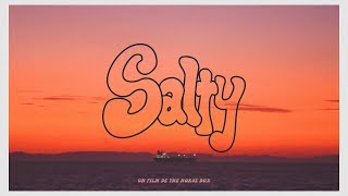 Duck Fizz - Salty (Lyric Video)