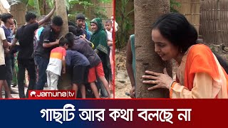 কেটে ফেলা হয়েছে 'কথা বলা' সেই আলোচিত গাছ | Viral Tree | Gopalganj | Jamuna TV