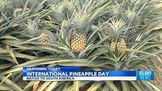 Today celebrates International Pineapple Day