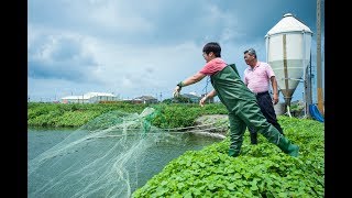 【幸福麥寮】返鄉青年的驕傲