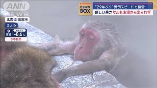 “29年ぶり”異例スピードで積雪　厳しい寒さ　サルもお湯から出られず【スーパーJチャンネル】(2024年12月17日)