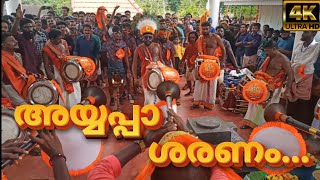 അയ്യപ്പാ ശരണം | Thrissur Brothers Nadaswaram | Ayyappa Devotional Song |Mangad, Kottiyatumuck pooram