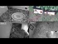 live igel haus hedgehog house 24 7 live stream