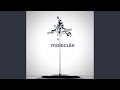 Molecule