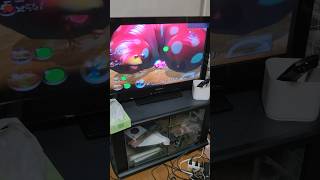 ピクミン2【Pikmin2】;赤青白でクイーンチャッピー（けだものの穴）を無犠牲で倒す。