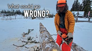 Her First Time Using a CHAINSAW | Life OFF GRID in the Canadian Wilderness