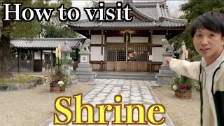 【Shrine】初詣！参拝の仕方。How to visit a shrine【Japanese culture】