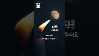 [Why요?] 생일 케이크에 초를 꽂는 이유 뭘까? #shorts