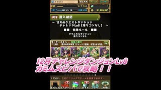 2017年12月チャレンジダンジョンLv8　カミムスビパで攻略【パズドラ】